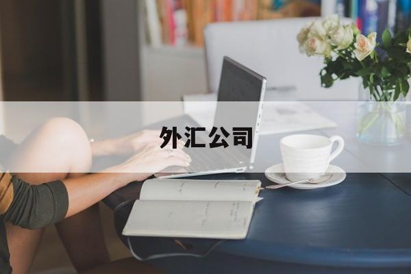 外汇公司(外汇平台官网)