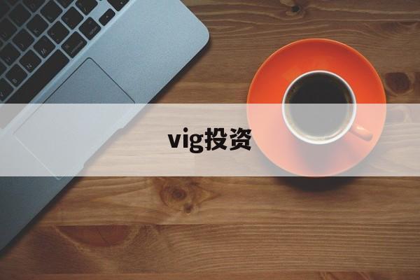 vig投资(viggleai的官方网站)